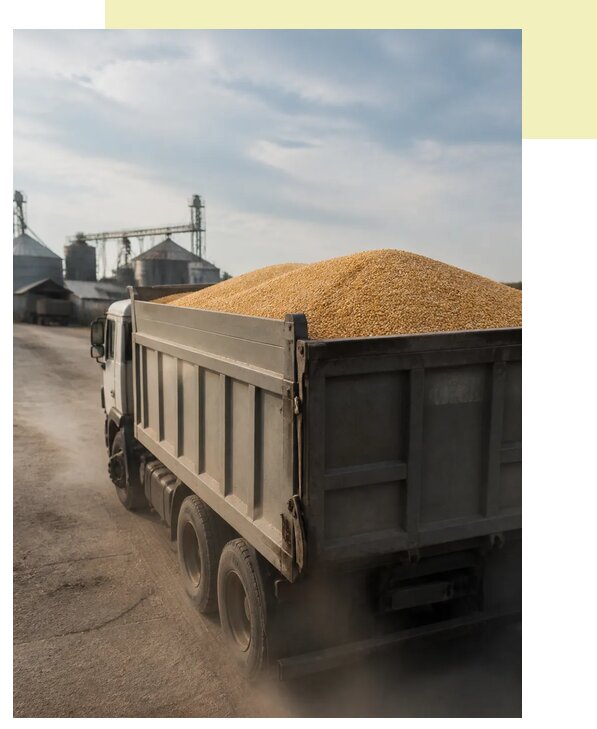 Перевозка сельхозпродукции навалом в Усть-Джегута по цене от 3037 р. | Агросервис-Стд